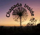 Logo do site